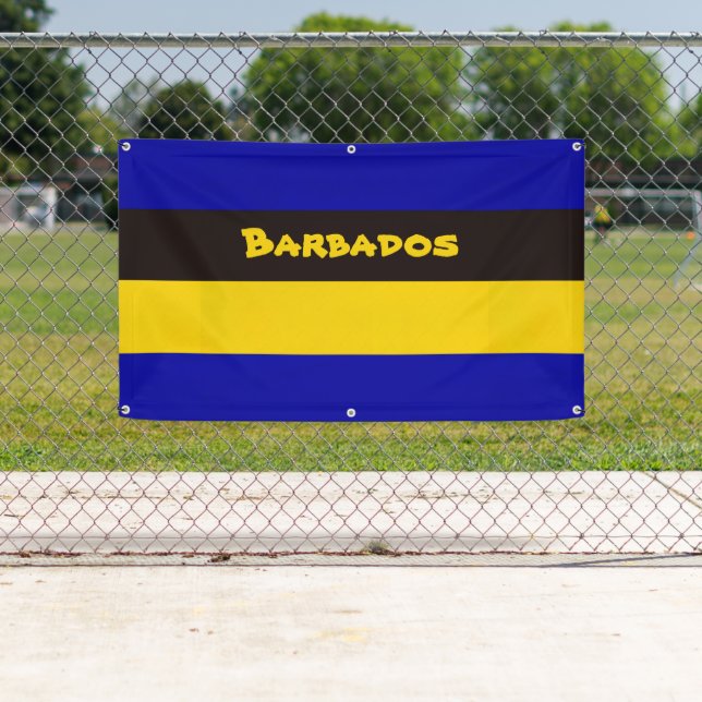 Barbados Flag Stripe Colors   Banner (Insitu)