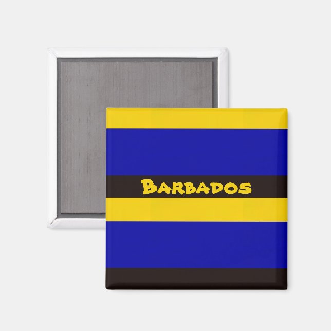 Barbados Flag Stripe Colors  Magnet (Front/Back)