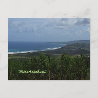 Barbados Island View Photo Postcard
