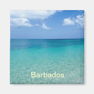Barbados magnet