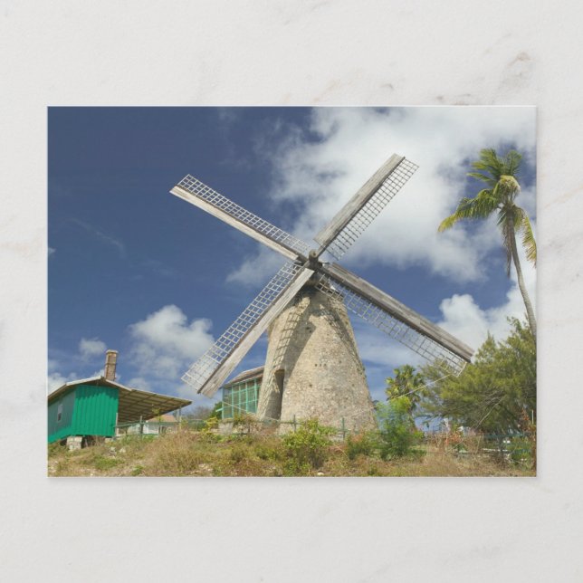 BARBADOS, North East Coast, Morgan Lewis: Morgan Postcard (Front)
