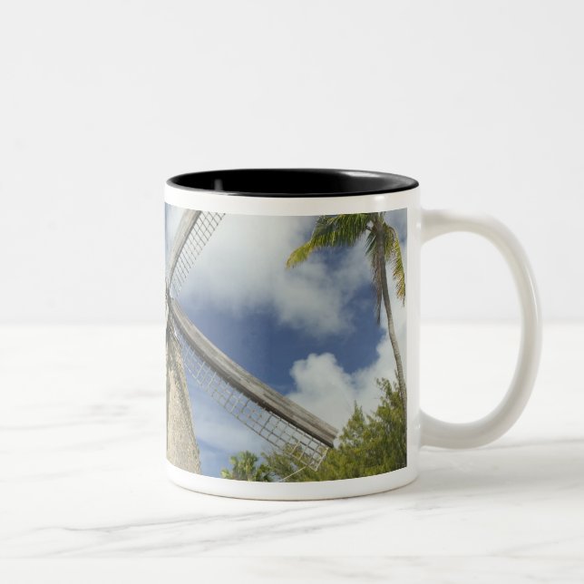BARBADOS, North East Coast, Morgan Lewis: Morgan Two-Tone Coffee Mug (Right)
