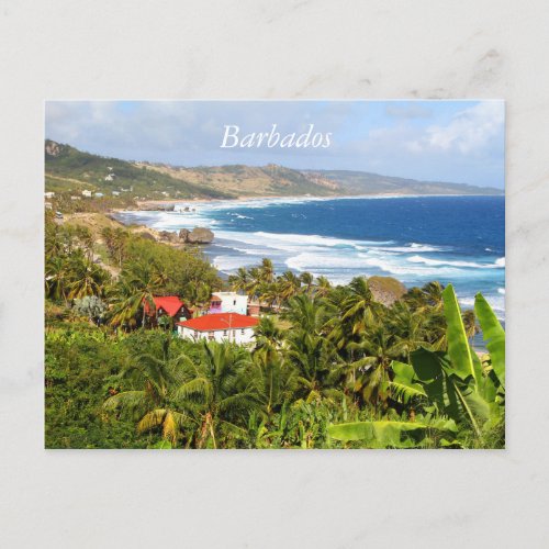Barbados Postcard Ocean tropical trees Postcard