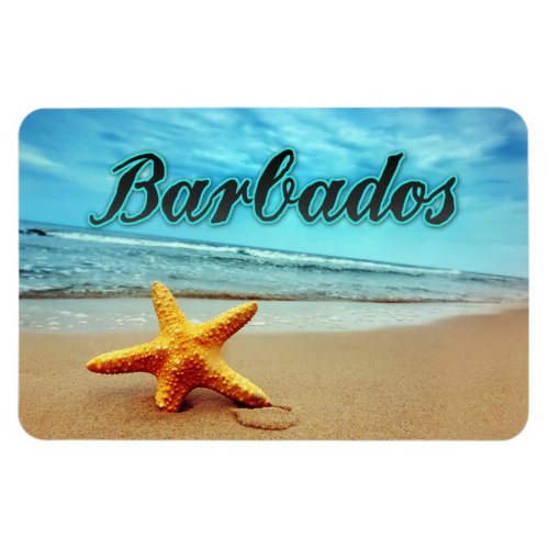 Barbados starfish magnet