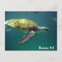 Barbados W.I.