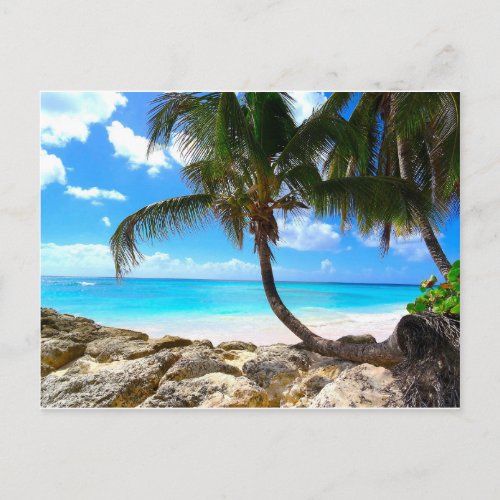 Barbados_ White sandy beach postcard