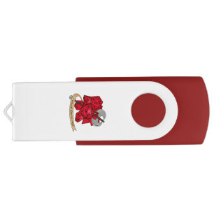 Barbarian Dice Design Flash Drive