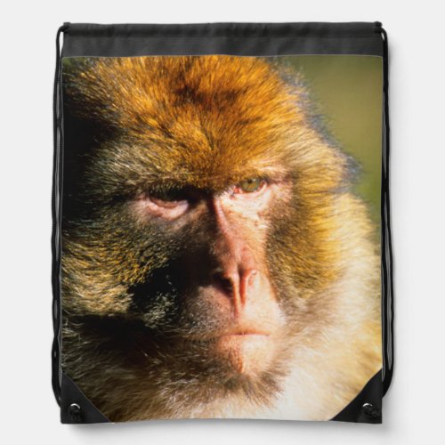 Barbary Macaque Macaca Sylvanus Portrait Drawstring Bag