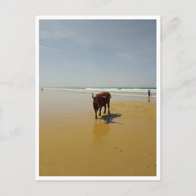 Barbate, Andalusia (Spain) Postcard (Front)