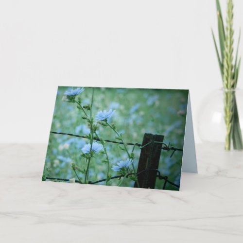 Barbed Wire and Blue Flowers Greeting Card