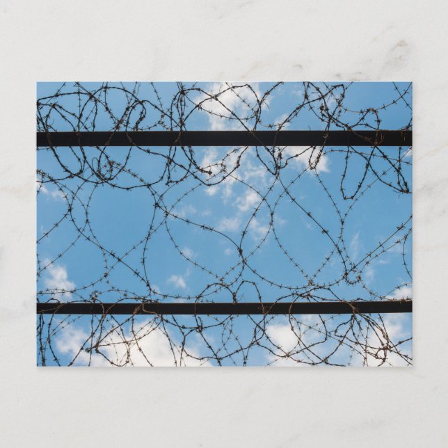 Barbed Wire At Amna Suraka Postcard (Front)