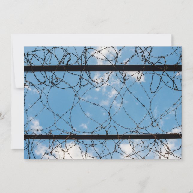 Barbed Wire At Amna Suraka Thank You Card (Front)