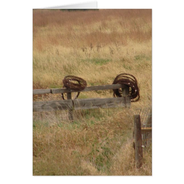 Barbed Wire Cards (Front)