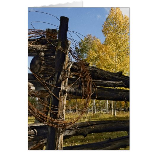 Barbed Wire Cards (Front)