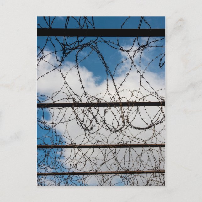 Barbed Wire Fence Postcard (Front)