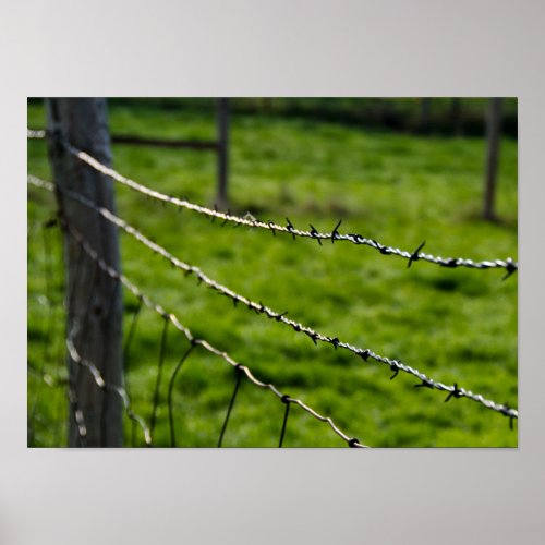 Barbed Wire Fence Poster