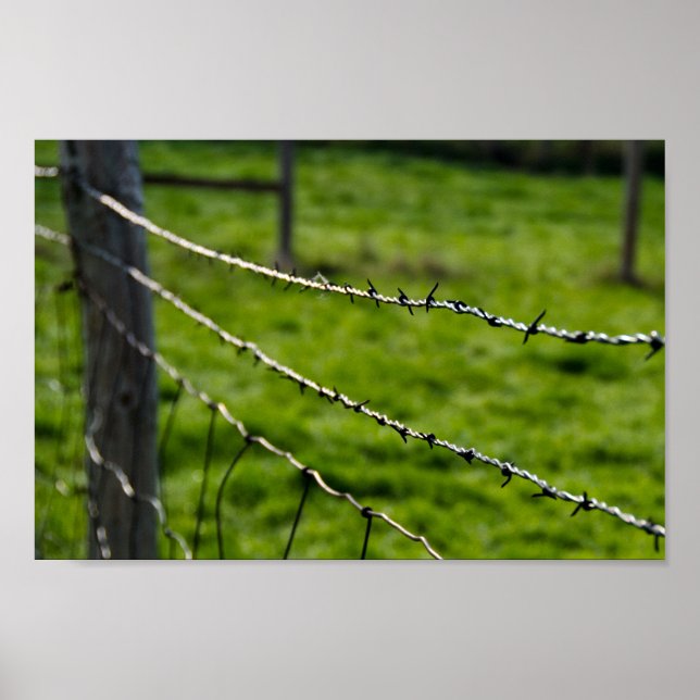 Barbed Wire Fence Poster (Front)