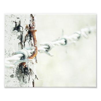 Barbed Wire Fence With Rusty Nail Photo Print by nikkilynndesign at Zazzle