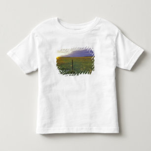 Barbed Wire Fenceline in northeastern Montana Toddler T-shirt
