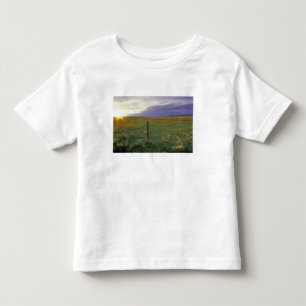 Barbed Wire Fenceline in northeastern Montana Toddler T-shirt