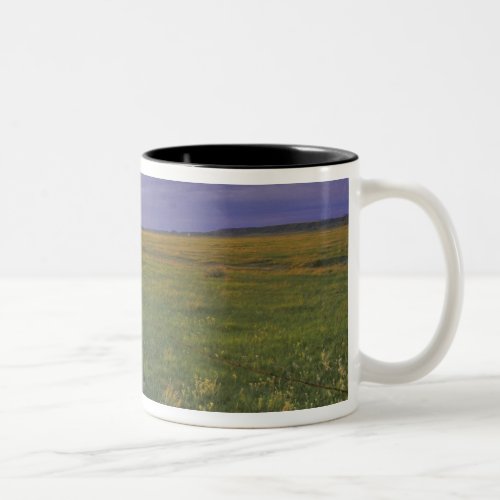 Barbed Wire Fenceline in northeastern Montana Two_Tone Coffee Mug