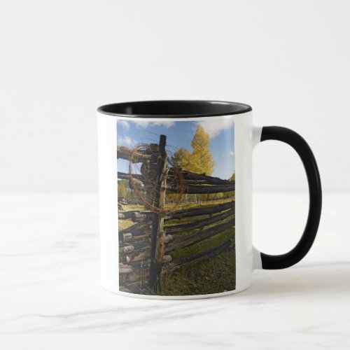 Barbed Wire Mug