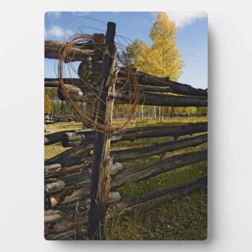Barbed Wire Plaque