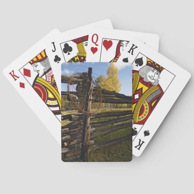 Barbed Wire Poker Cards (Back)