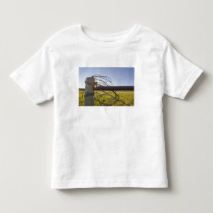 Barbed wire rolled up on fencerow near toddler t-shirt