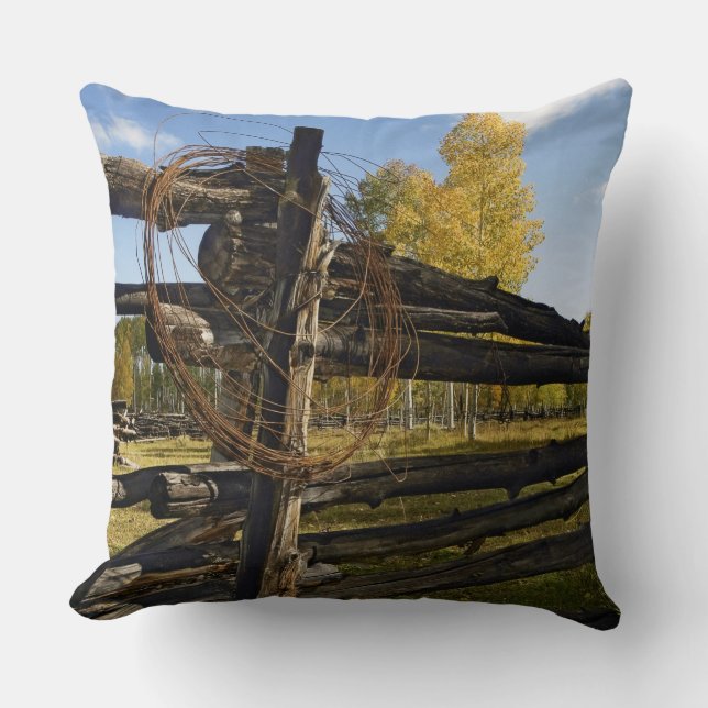 Barbed Wire Throw Pillow (Front)