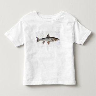 Barbel (Cyprinus Barbus) plate XVIII from 'Ichthyo Toddler T-shirt