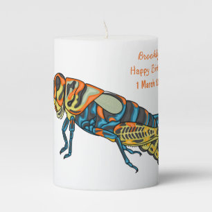 Barber pole grasshopper cartoon illustration  pillar candle
