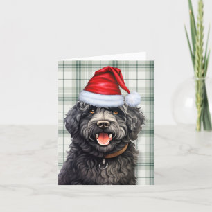 Barbet Christmas Dog Green Plaid Christmas Holiday Card