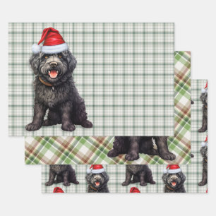 Barbet Christmas Dog Green Plaid Wrapping Paper Sheets