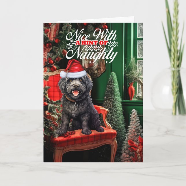 Barbet Christmas Dog Naughty or Nice Holiday Card (Front)