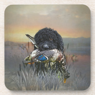 Barbet , French Water Dog Beverage Coaster