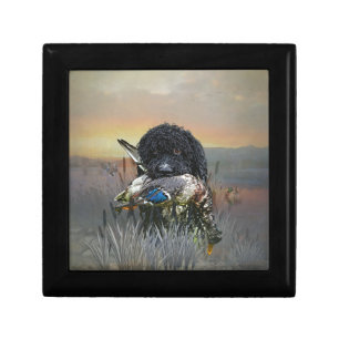 Barbet , 	French Water Dog   Gift Box