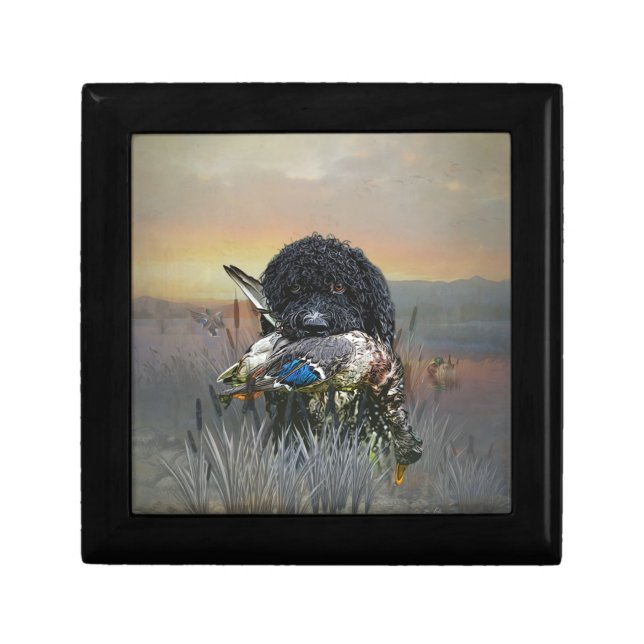 Barbet , 	French Water Dog   Gift Box (Front)