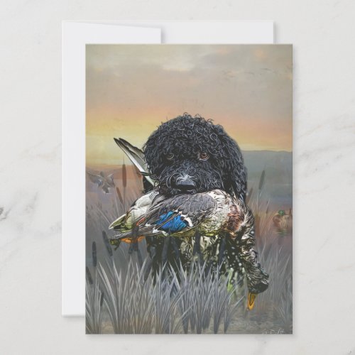 Barbet  	French Water Dog   Invitation