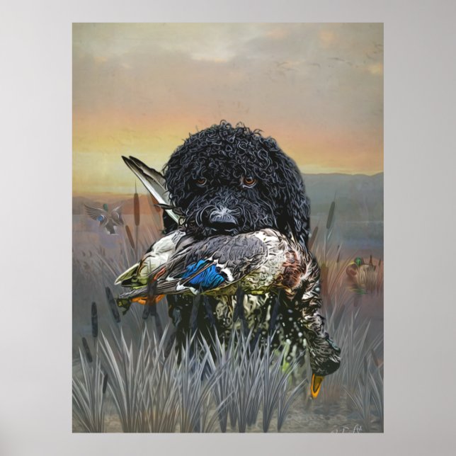 Barbet , 	French Water Dog   Poster (Front)
