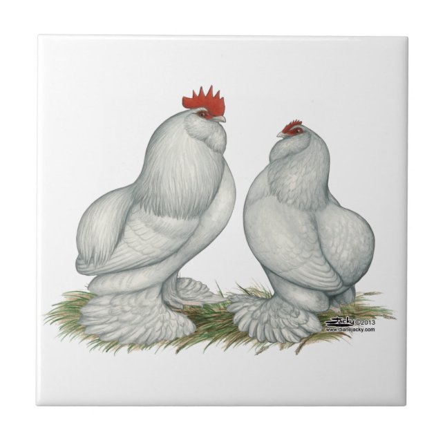 Barbu d'Everberg Chickens Ceramic Tile (Front)
