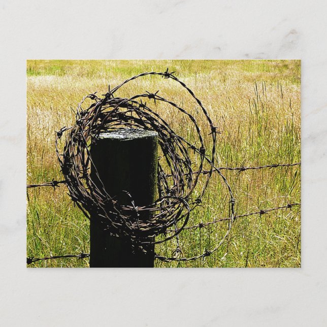 Barbwire Country Postcard (Front)
