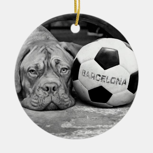Barcelona's soccer fanatic dog. Barcelona, Spain Ceramic Ornament (Front)