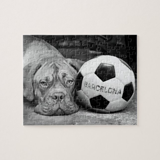 Barcelona's soccer fanatic dog. Barcelona, Spain Jigsaw Puzzle (Horizontal)