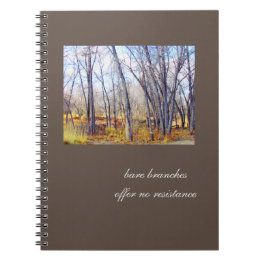 Bare Branches, No Resistance Journal