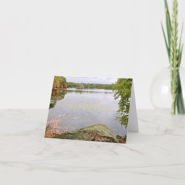 Bare Hill Pond Letterpress Thank You Card (Front)