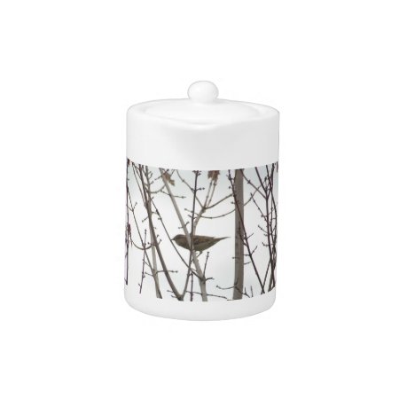 Bare Limb Bird Teapot, By H.a.s. Arts Teapot