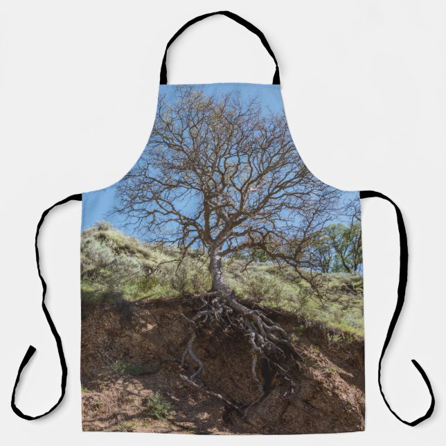 Bare tree on mountain during day apron (Front)