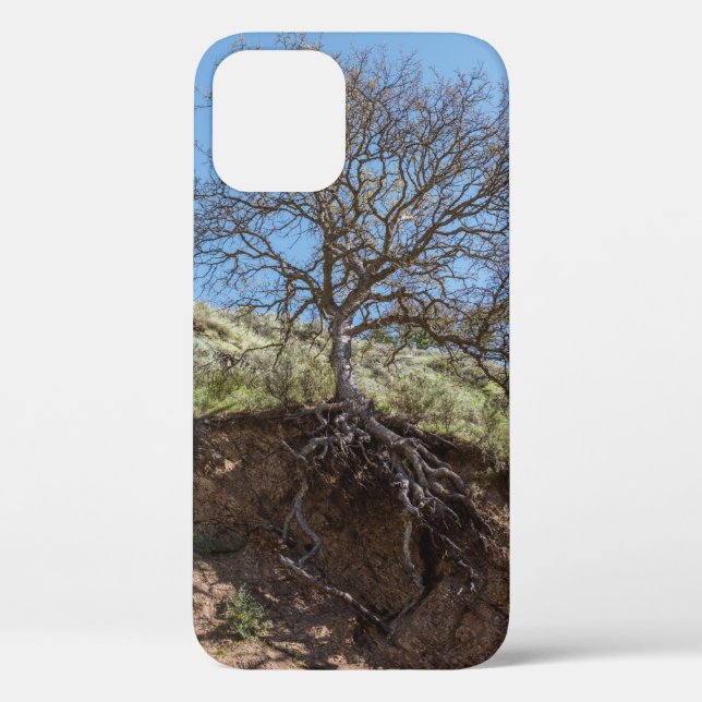 Bare tree on mountain during day Case-Mate iPhone case (Back)