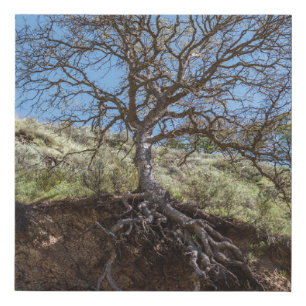 Bare tree on mountain during day faux canvas print
